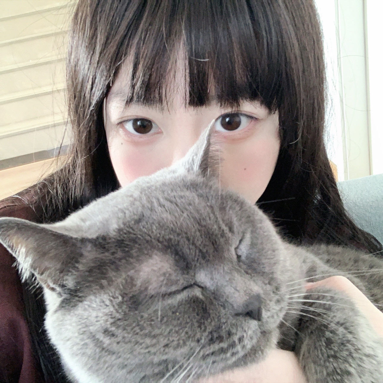 午夜韩国四区高清影院V.2026.02.27.1802截图4